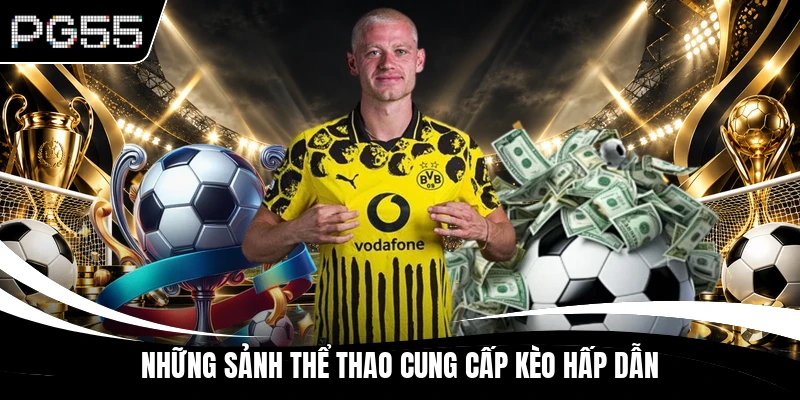 Những sảnh thể thao cung cấp kèo hấp dẫn